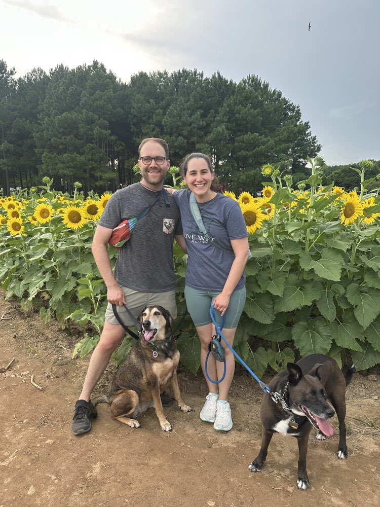 Sunflower field at Dix Park in Raleigh